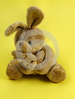 Bunny rabbit cuddly toy