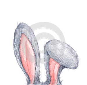 Bunny rabbit ears. Easter concept. Watercolor illustration