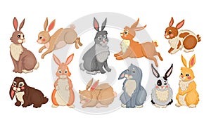 Bunny rabbit and easter hare. Cute animal drawing different breeds, farm baby pet set, color happy forest character