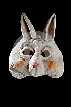 Bunny rabbit funny mask