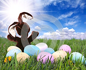 Bunny Rabbit in the Grass With Easter Colored Eggs