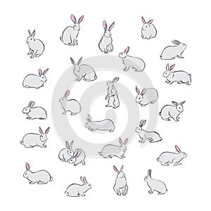 Bunny rabbit pet vector set. Hand drawn happy Easter day different characters. Animal isolated on white background