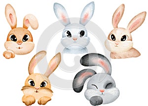 Bunny and rabbit watercolor set. Hand drawn bunnies and rabbits in different color. hare illustration element. Cute characters for