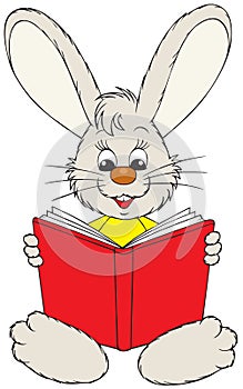 Bunny reading the red book