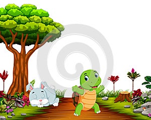 A bunny sleep under tree while tortoise run on road