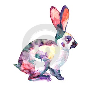 Bunny watercolour painting.