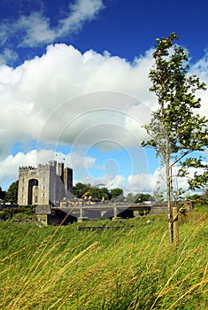 Bunratty Castle Co. Clare Ireland