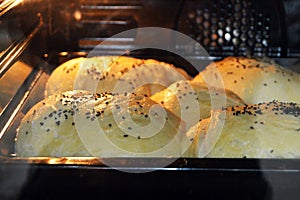Buns that are baked in the oven with herbs buns