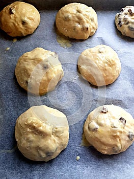 Buns with raisins ready for frying photo
