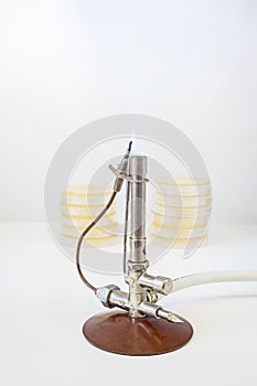 Bunsen burner with petri dishes