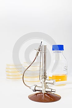 Bunsen burner with petri dishes and a flask