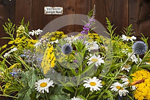 Colorful lush bouquet with thistles and martenflies and meadow flowers in front of wooden wall, Bunter ÃÂ¼ppiger StrauÃÅ¸