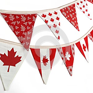 Bunting Canada illustration