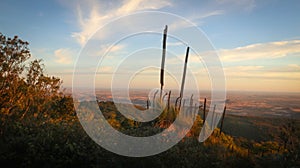 Bunya Mountains Landscape at Sunset