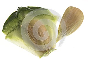 Bunya Pine Seed and Segment