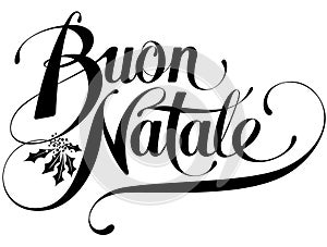 Buon Natale - custom calligraphy text