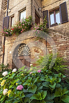 Buonconvento (Siena, Tuscany)
