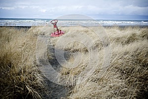 Buoy on the beach