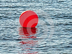 Buoy On The Blue