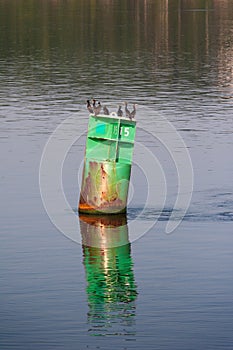 Buoy on Kennebec River