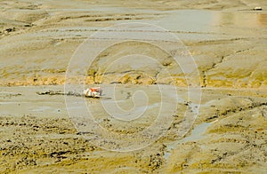 Buoy on mudflat in harbor at low tide