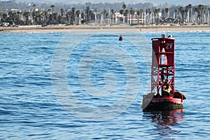 Buoy Sea Lions