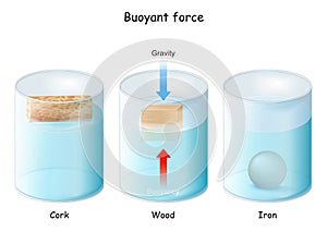 Buoyant force. Archimedes` principle photo