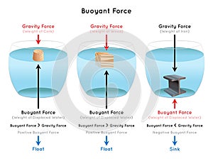 Buoyant Force Infographic diagram examples of cork wood iron