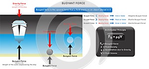 Buoyant Force Infographic Diagram showing how ship float on water