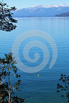 Buoys in the Lake