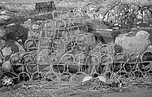 Buoys and Lobster Pots on Scarinish Harbour Wall