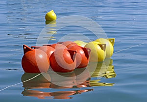 Buoys on surface water