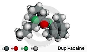 Bupivacaine molecule, is an amide-type, long-acting local anesthetic. Molecular model photo