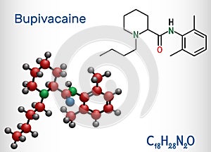 Bupivacaine molecule, is an amide-type, long-acting local anesthetic. Structural chemical formula and molecule model photo