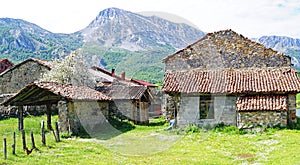 BurÃ³n in the autonomous community of Castilla y LeÃ³n photo