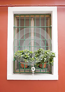 Burano window