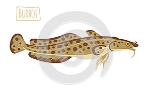 Burbot, vector cartoon illustration