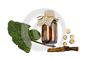 Burdock Arctium lappa, leaves and root, burdock oil in bottle photo