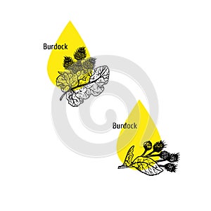 Burdock oil icon set. Hand drawn sketch. Extract of plant. Vector illustration
