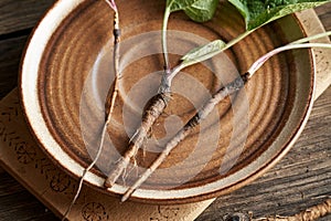 Burdock root on a brown plate, close up