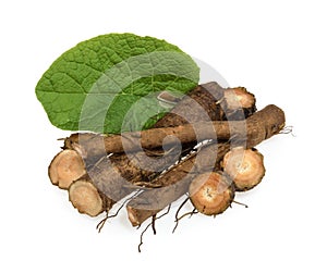 Burdock root isolated