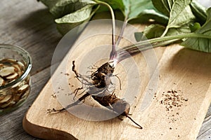 Burdock root on a table