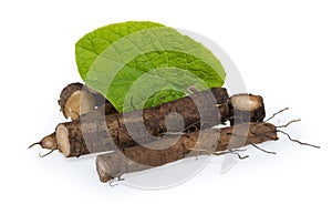Burdock roots isolated on white background
