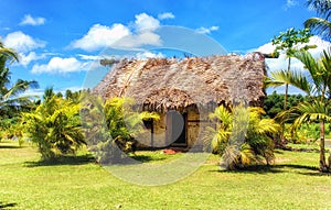 Bure traditional Fijian house