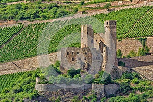 Burg Ehrenfels