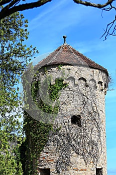 The Burg Guttenberg is a castle in Germany