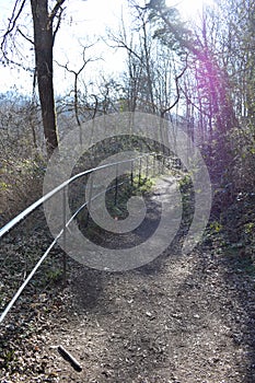 Burgbrohl, Germany - 03 03 2022: Hiking trail to the monastery ruin in the forest