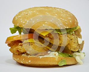 Burger - Big juicy burger on white background - Rounders