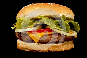 Hamburger sul nero 