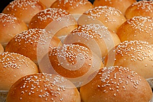Burger buns with white sesame seeds